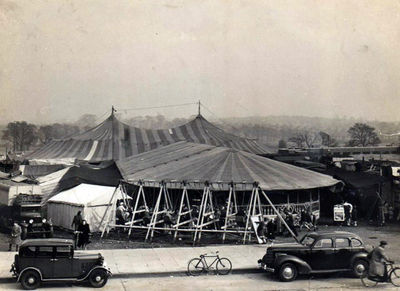 Mammoth Circus- Carnival Fun Fair