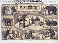 Edmond's Elephants poster.jpeg