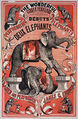 Fernando-Edmonds Elephants.jpeg
