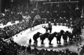 Circo Americano 26 elephants 1963.jpg