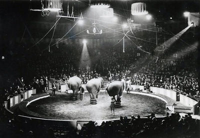 Bertram Mills Circus at Olympia (1950)